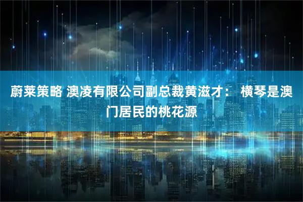 蔚莱策略 澳凌有限公司副总裁黄滋才： 横琴是澳门居民的桃花源
