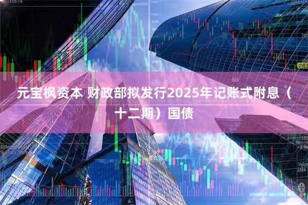 元宝枫资本 财政部拟发行2025年记账式附息（十二期）国债